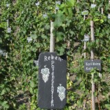 1109F 061 Trier-Paderborn